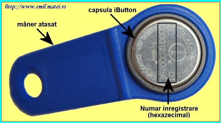 iButton